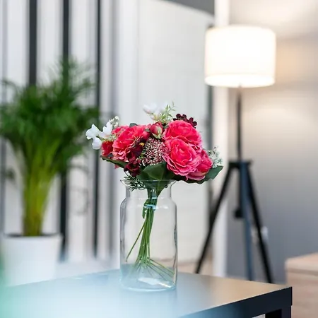 Deluxe Old Town By Renters