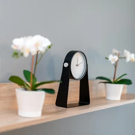 Deluxe Old Town By Renters *