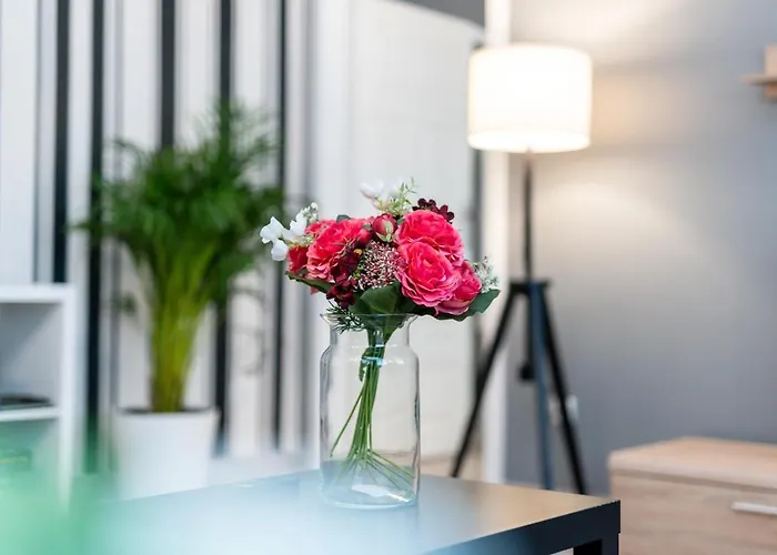 Deluxe Old Town By Renters